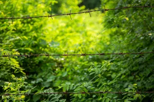 The Glory Of Independence Park At Daybreak Wallpaper