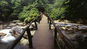 The Grandeur Of The Great Smoky Mountains Wallpaper