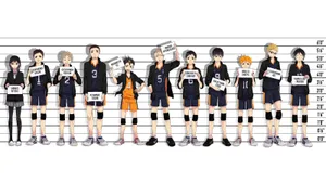 “the Heights Of Karasuno High - Haikyuu” Wallpaper