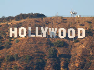 The Hollywood Sign In Los Angeles Wallpaper