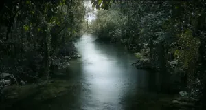 The Jungle Book Stream Wallpaper