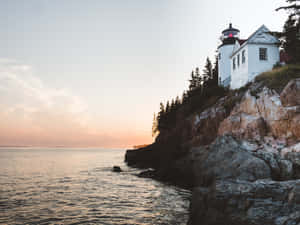 The Last Days Of Summer, Don’t Let Them Slip Away Wallpaper