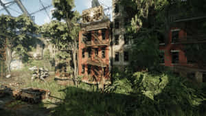 The Last Of Us Screenshot Wallpaper