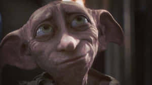 The Loving House Elf, Dobby Wallpaper