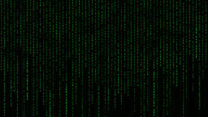 The Matrix Is Lit Wallpaper