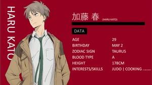 The Millionaire Detective Haru Data Wallpaper