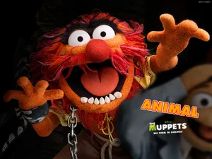 The Muppets Animal Wallpaper Wallpaper