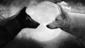 The Mystical Majestic Wolf Wallpaper