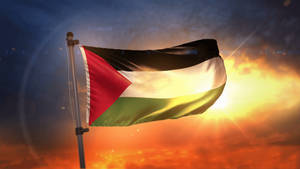 The National Flag Of Palestine Wallpaper