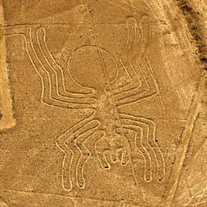 The Nazca Lines Wallpaper