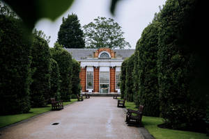 The Orangery Inside Kensington Palace Wallpaper