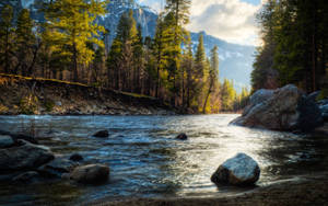 The Peaceful Flow Of The River Wallpaper