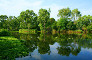 The Perfect Summer Day Spent By A Tranquil River. Wallpaper