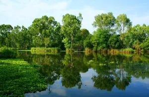 The Perfect Summer Day Spent By A Tranquil River. Wallpaper