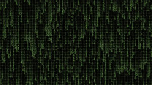 The Philosophical Path Of The Matrix Wallpaper