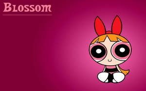 The Powerpuff Girls Blossom Sitting Wallpaper