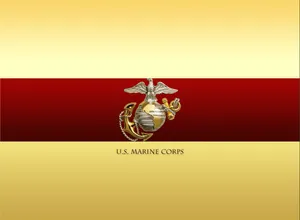 The Pride Of Our Nation: U.s. Marines Wallpaper
