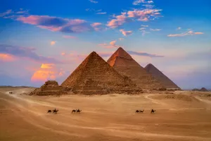 The Pyramids Of Giza With A Group Of Camels Wallpaper