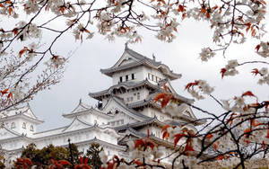 The Sacred White Temple Of Japan Wallpaper