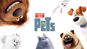 The Secret Life Of Pets 2 Cover Wallpaper