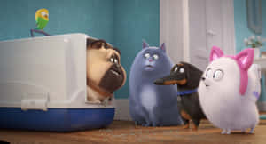 The Secret Life Of Pets 2 Cute Wallpaper