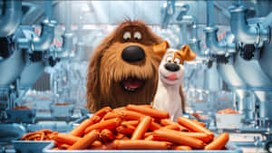 The Secret Life Of Pets 2 Hotdogs Wallpaper