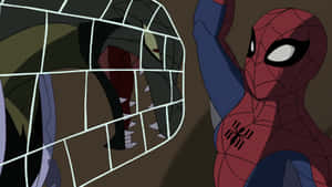 The Spectacular Spider-man Web Wallpaper