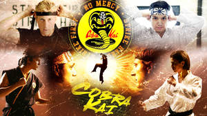 The Successors Of Cobra Kai: Generation 2 Wallpaper