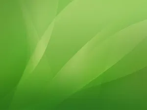 The Tranquil Beauty Of A Plain Green Landscape Wallpaper