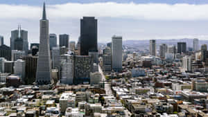 The Transamerica Pyramid In San Francisco Wallpaper