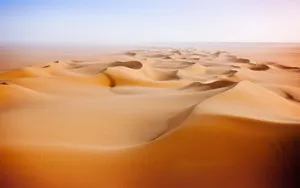 The Unending Life In The Desert Wallpaper