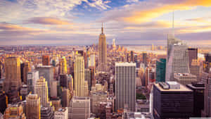 The Urban Jungle Of New York City Wallpaper