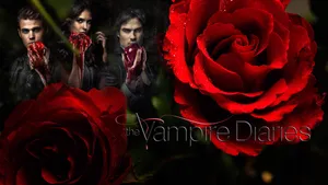 The Vampire Diaries Poster With Red Roses Wallpaper