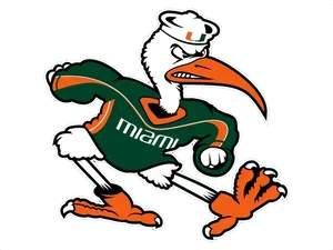 The Vibrant Mascot Of The University Of Miami In Full Costume Wallpaper