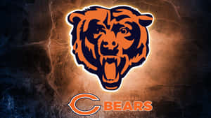 The Windy City Takes Its Sports Seriously Wallpaper