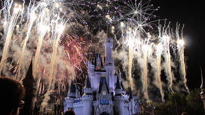 Theme Park Fireworks Display Wallpaper