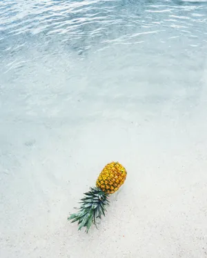 This Is Our Best Summer Yet Wallpaper