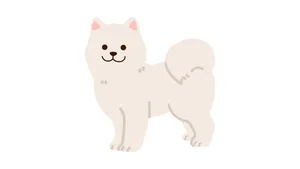 This Sweet Little Pup Is An Example Of The Cutest White Pup You'll Ever Find! Wallpaper