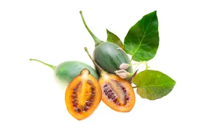 Three Green Tamarillo Fruits Photography Wallpaper