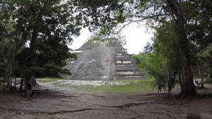 Tikal Emerging From Forest Wallpaper