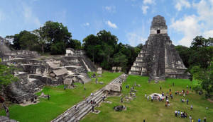 Tikal Tourist Area Wallpaper