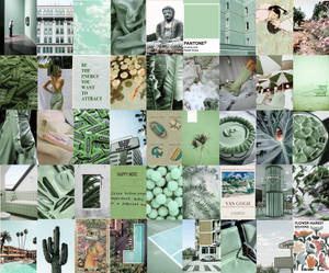 Tiled Sage Green Aesthetic Wallpaper