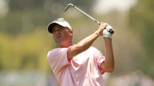 Tim Petrovic Looking Upward Wallpaper