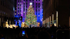 Times Square Christmas Tree Wallpaper