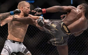 Tj Dillashaw And Aljamain Sterling Fight Wallpaper