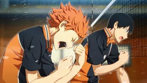 Tobio Kageyama And Shoyo Hinata Wallpaper