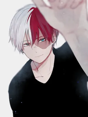 Todoroki Cute Sketch Wallpaper