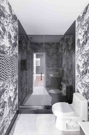 Toilet Black & White Interior Design Wallpaper