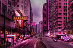 Tokyo City Pastel Pink Wallpaper