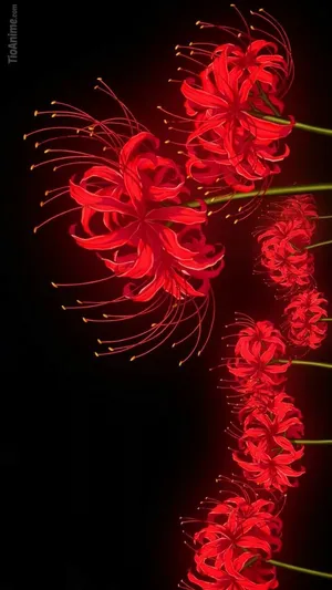 Tokyo Ghoul Flower In Vertical Wallpaper
